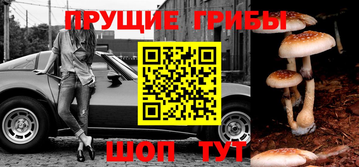 Галлюциногенные грибы Magic Shrooms Южноуральск