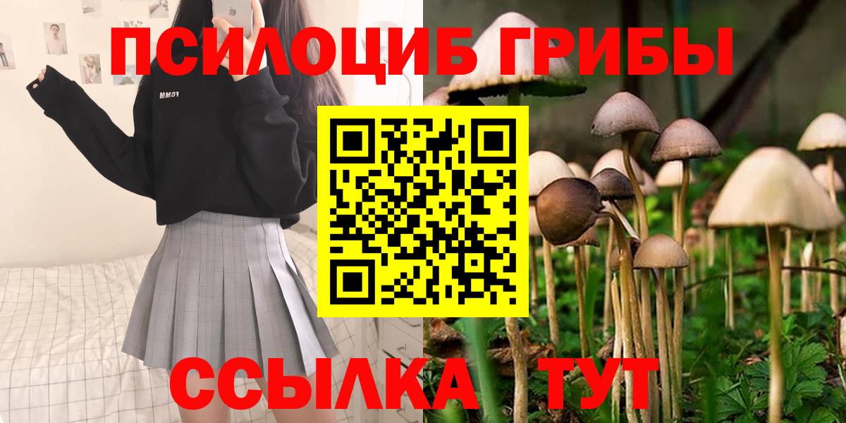 Псилоцибиновые грибы ЛСД  Вход с VPN  Галлюциногенные грибы Psilocybe  Южноуральск 